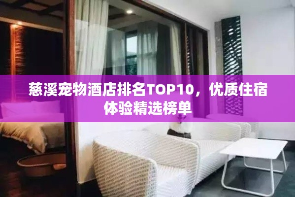 慈溪宠物酒店排名TOP10,优质住宿体验精选榜单
