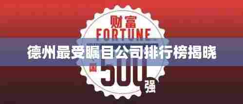 德州最受瞩目公司排行榜揭晓