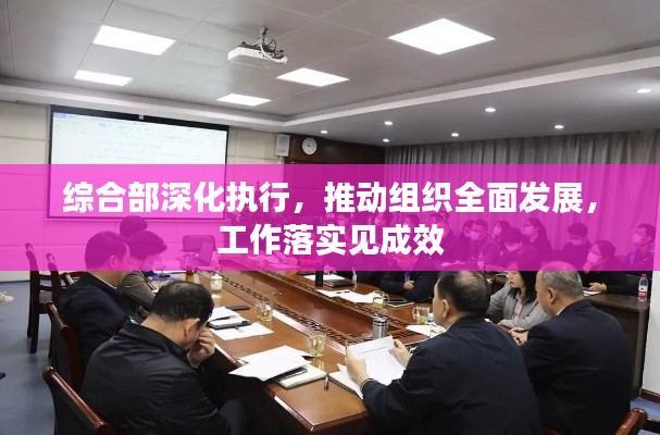 综合部深化执行,推动组织全面发展,工作落实见成效