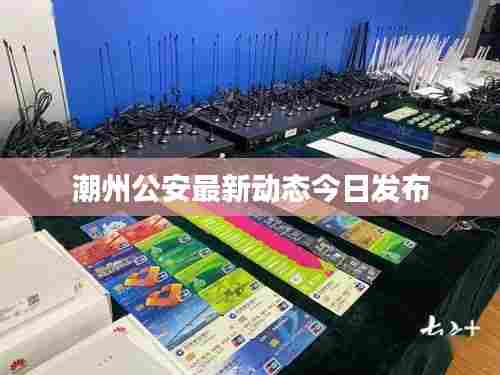 潮州公安最新动态今日发布