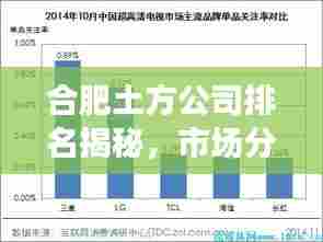 合肥土方公司排名揭秘，市场分析与竞争力对比