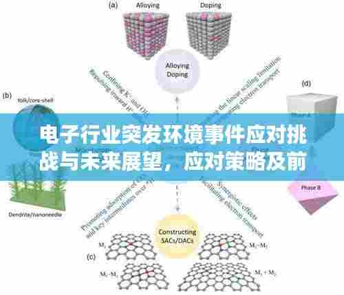 电子行业突发环境事件应对挑战与未来展望,应对策略及前景分析