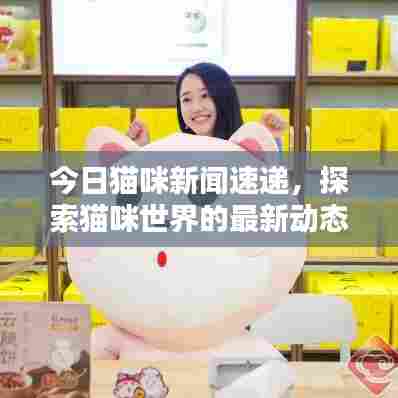 今日猫咪新闻速递,探索猫咪世界的最新动态