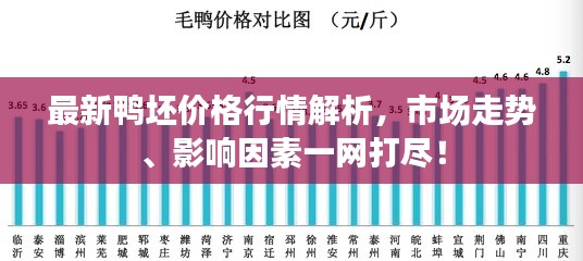 最新鸭坯价格行情解析,市场走势、影响因素一网打尽!