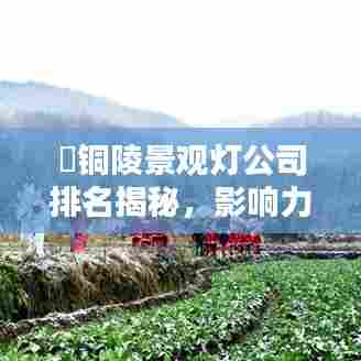 铜陵景观灯公司排名揭秘,影响力深度探讨