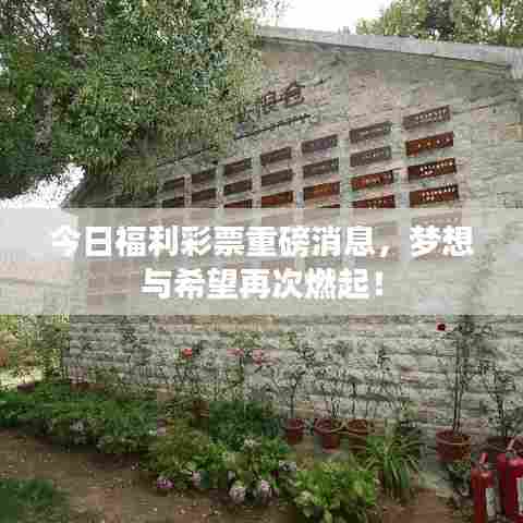今日福利彩票重磅消息，梦想与希望再次燃起！