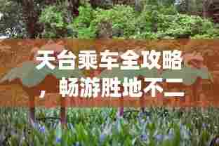 天台乘车全攻略,畅游胜地不二之选!