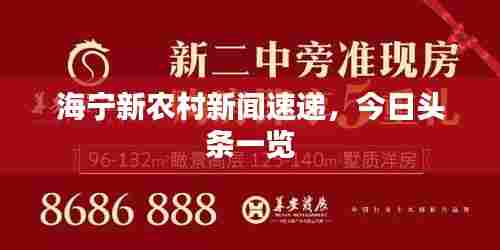 海宁新农村新闻速递，今日头条一览