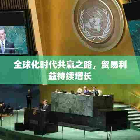 全球化时代共赢之路,贸易利益持续增长