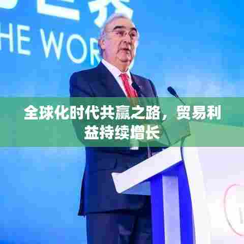 全球化时代共赢之路,贸易利益持续增长