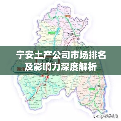 宁安土产公司市场排名及影响力深度解析
