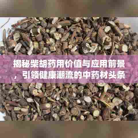 揭秘柴胡药用价值与应用前景，引领健康潮流的中药材头条新闻！