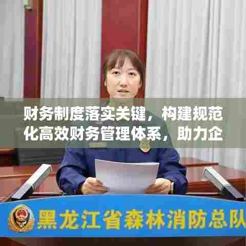 财务制度落实关键，构建规范化高效财务管理体系，助力企业稳健发展！