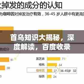 首乌知识大揭秘，深度解读，百度收录必备标题