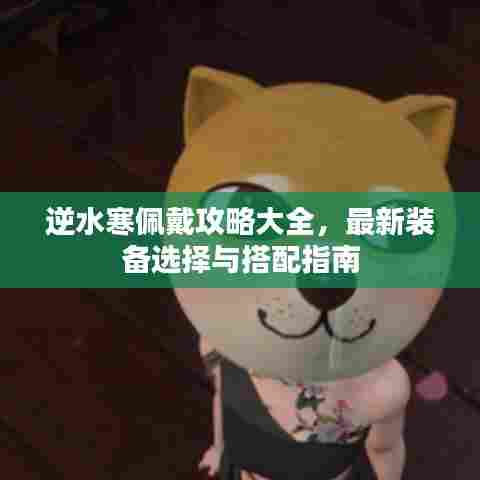 逆水寒佩戴攻略大全,最新装备选择与搭配指南