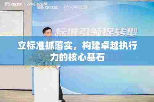 立标准抓落实,构建卓越执行力的核心基石