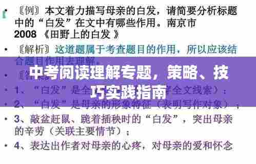 中考阅读理解专题,策略、技巧实践指南