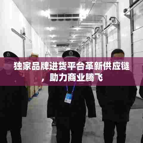 独家品牌进货平台革新供应链,助力商业腾飞