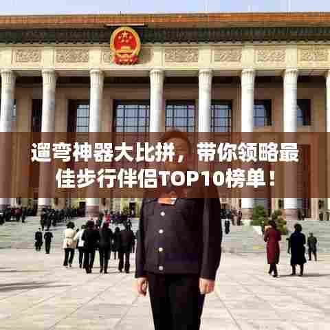 遛弯神器大比拼，带你领略最佳步行伴侣TOP10榜单！