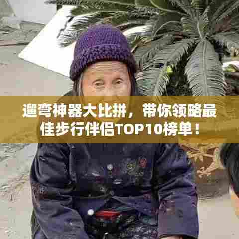 遛弯神器大比拼,带你领略最佳步行伴侣TOP10榜单!