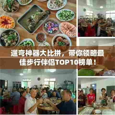 遛弯神器大比拼,带你领略最佳步行伴侣TOP10榜单!