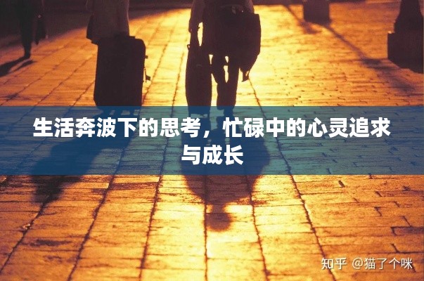 生活奔波下的思考，忙碌中的心灵追求与成长