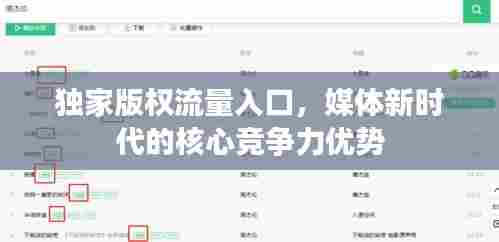 独家版权流量入口，媒体新时代的核心竞争力优势