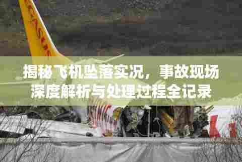 揭秘飞机坠落实况，事故现场深度解析与处理过程全记录