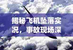 揭秘飞机坠落实况,事故现场深度解析与处理过程全记录