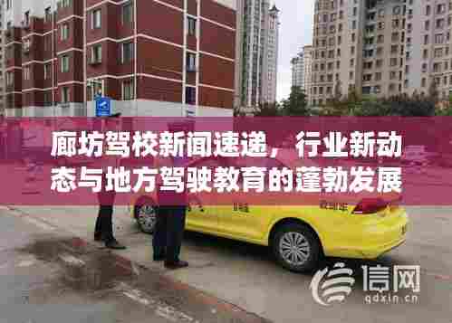 廊坊驾校新闻速递，行业新动态与地方驾驶教育的蓬勃发展