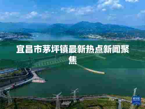 宜昌市茅坪镇最新热点新闻聚焦