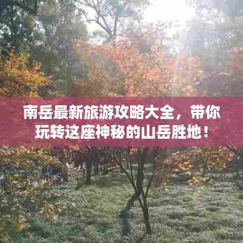 南岳最新旅游攻略大全,带你玩转这座神秘的山岳胜地!