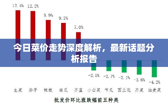 今日菜价走势深度解析,最新话题分析报告