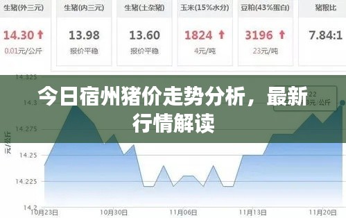 今日宿州猪价走势分析,最新行情解读
