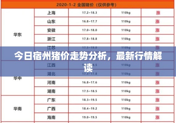 今日宿州猪价走势分析,最新行情解读