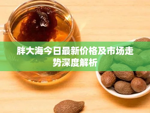 胖大海今日最新价格及市场走势深度解析