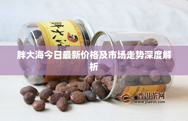 胖大海今日最新价格及市场走势深度解析