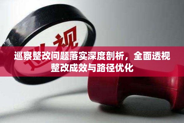 巡察整改问题落实深度剖析，全面透视整改成效与路径优化