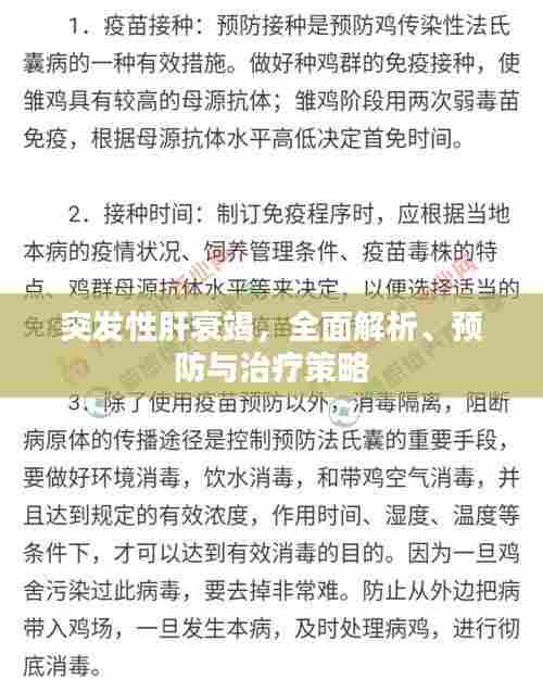 突发性肝衰竭，全面解析、预防与治疗策略