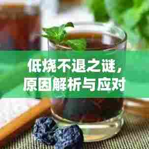 低烧不退之谜，原因解析与应对之策