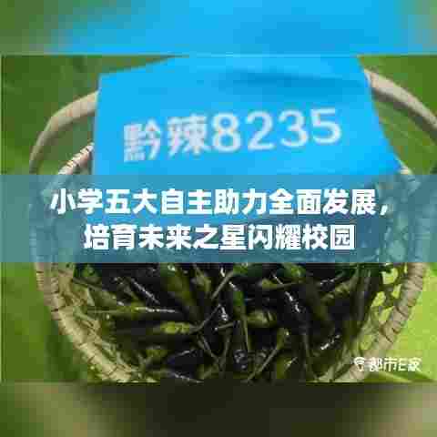 小学五大自主助力全面发展，培育未来之星闪耀校园