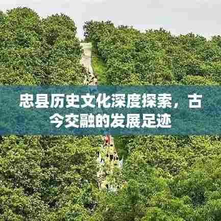 忠县历史文化深度探索,古今交融的发展足迹