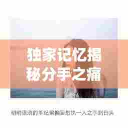 独家记忆揭秘分手之痛，情感裂痕中的哀伤与反思