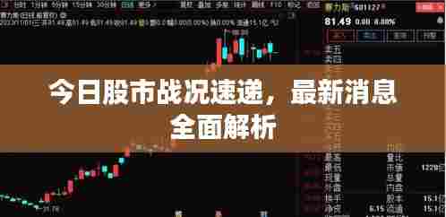 今日股市战况速递，最新消息全面解析