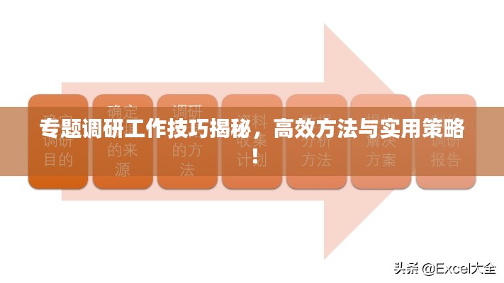 专题调研工作技巧揭秘，高效方法与实用策略！