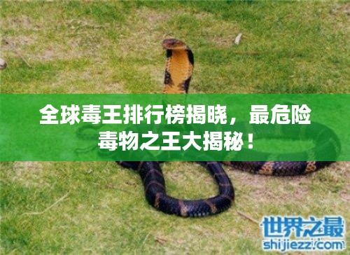 全球毒王排行榜揭晓，最危险毒物之王大揭秘！