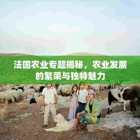 法国农业专题揭秘,农业发展的繁荣与独特魅力
