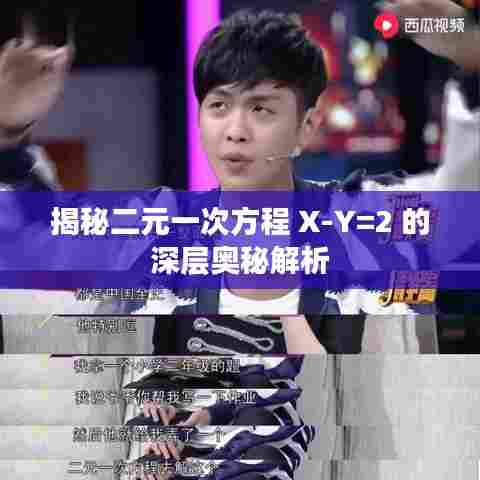 揭秘二元一次方程 X-Y=2 的深层奥秘解析