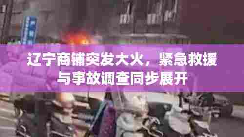 辽宁商铺突发大火,紧急救援与事故调查同步展开