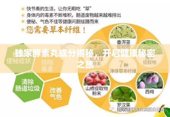 独家酵素丸成分揭秘,开启健康秘密之旅